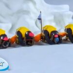 Pingu in Competition 🐧 | Pingu – Official Channel | Cartoons For Kids - Kids (0-4), Kingdom Kids Zone - Pingu - Official Channel