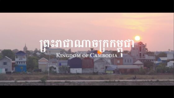 Witness21 Editor  2023 06 01