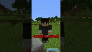How One Block Was Made In Minecraft… - Gameplay, Kingdom Kids Zone, Minecraft - EYstreem