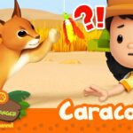 Witness21  2023 06 17