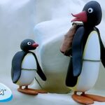 Pingu Goes on Trips 🐧 | Pingu – Official Channel | Cartoons For Kids - Kids (0-4), Kingdom Kids Zone - Pingu - Official Channel
