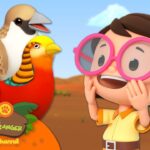 Witness21  2023 07 23