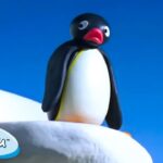 Pingu's Prank Goes Wrong 🐧 | Pingu – Official Channel | Cartoons For Kids - Kids (0-4), Kingdom Kids Zone - Pingu - Official Channel
