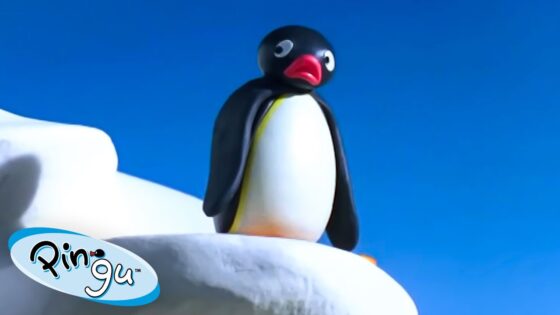 Pingu's Prank Goes Wrong 🐧 | Pingu – Official Channel | Cartoons For Kids - Kids (0-5), Kingdom Kids Zone - Pingu - Official Channel