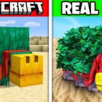 Minecraft Mobs in REAL LIFE! (Animals, Items, Blocks) - Gameplay, Kingdom Kids Zone, Minecraft - EYstreem