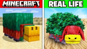 Minecraft Mobs in REAL LIFE! (Animals, Items, Blocks) - Gameplay, Kingdom Kids Zone, Minecraft - EYstreem