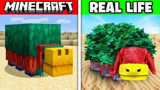 Minecraft Mobs in REAL LIFE! (Animals, Items, Blocks) - Gameplay, Kingdom Kids Zone, Minecraft - EYstreem