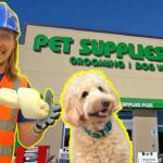 Person in a safety vest and hard hat holds a large bone-shaped prop beside a fluffy beige dog outside a Pet Supplies Plus store with grooming and dog wash signage nearby, sunny day.