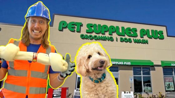 Person in a safety vest and hard hat holds a large bone-shaped prop beside a fluffy beige dog outside a Pet Supplies Plus store with grooming and dog wash signage nearby, sunny day.