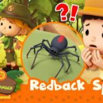 Witness21  2023 07 01