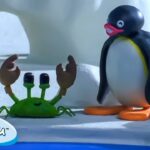 Pingu and the School Pet 🐧 | Pingu – Official Channel | Cartoons For Kids - Kids (0-4), Kingdom Kids Zone - Pingu - Official Channel