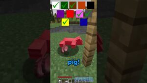 Minecraft, But Colors Get Added Every Time… - Gameplay, Kingdom Kids Zone, Minecraft - EYstreem