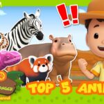 Witness21  2023 07 22