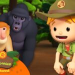 Witness21  2023 07 09