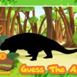 Witness21  2023 07 07