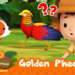 Witness21  2023 07 08