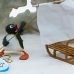 Pingu Enjoying Summer π π§ | Pingu β Official Channel | Cartoons For Kids - Kids (0-4), Kingdom Kids Zone - Pingu - Official Channel