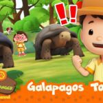 Witness21  2023 08 26