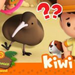 Witness21  2023 08 05