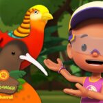 Witness21  2023 08 27