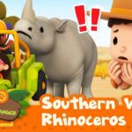 Witness21  2023 08 19