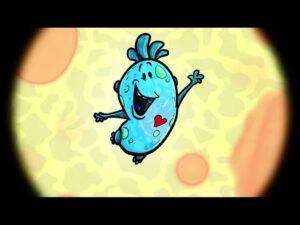 Parasite For The Lord - Kids (0-5), Kingdom Kids Zone - Back To The Basics!