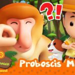 Witness21  2023 08 12