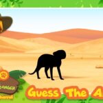 Witness21  2023 08 18