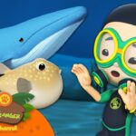 Witness21  2023 08 06