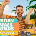 Witness21 Editor  2023 08 01