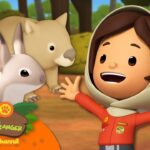 Witness21  2023 08 13