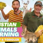 Witness21 Editor  2023 08 16