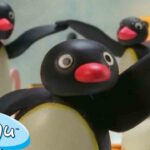 Pingu Surprises Everyone 🐧 | Pingu – Official Channel | Cartoons For Kids - Kids (0-4), Kingdom Kids Zone - Pingu - Official Channel