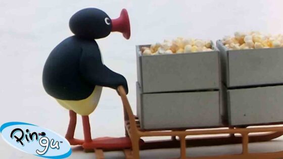 Pingu's Big Adventures 🐧 | Pingu – Official Channel | Cartoons For Kids - Kids (0-5), Kingdom Kids Zone - Pingu - Official Channel