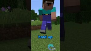 Giving 1 MILLION Dollars to this Minecraft Player… - Gameplay, Kingdom Kids Zone, Minecraft - EYstreem
