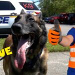 Happy rescue dog on a leash with a police SUV in the background and a man in a blue hard hat giving a thumbs up.