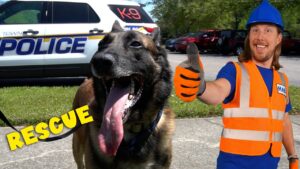 Happy rescue dog on a leash with a police SUV in the background and a man in a blue hard hat giving a thumbs up.