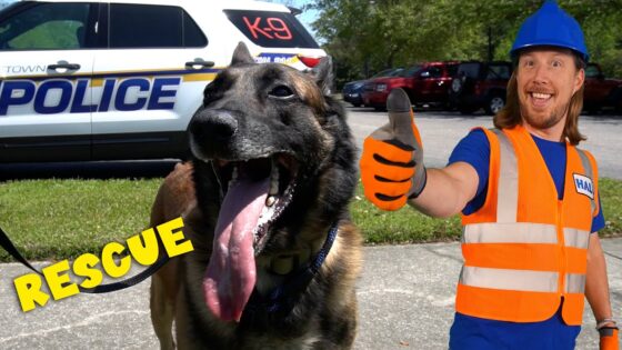 Happy rescue dog on a leash with a police SUV in the background and a man in a blue hard hat giving a thumbs up.