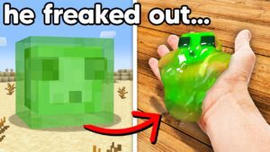 I Killed My Friends Slime Pet, So I Got One in Real Life - Gameplay, Kingdom Kids Zone, Minecraft - EYstreem