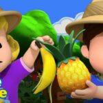 Little People Mini Adventures | Fruits of The Forest! | Kids Cartoons - Kids TV Series, Kingdom Kids Zone - Little People - Fisher Price