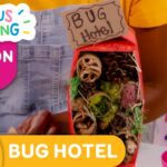 CURIOUS CRAFTING🖍✂️ Bug Hotel 🪰 Season 2 Fun Arts & Crafts For Kids | TVOkids - Kingdom Kids Zone, Little Learners - TVOkids Preschool