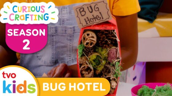 CURIOUS CRAFTING🖍✂️ Bug Hotel 🪰 Season 2 Fun Arts & Crafts For Kids | TVOkids - Kingdom Kids Zone, Little Learners - TVOkids Preschool
