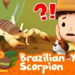 Witness21  2023 09 30