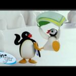 Pingu Goes on Trips 🐧 | Pingu – Official Channel | Cartoons For Kids - Kids (0-4), Kingdom Kids Zone - Pingu - Official Channel