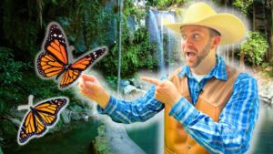 Man in a straw cowboy hat and brown vest points at two monarch butterflies by a cascading waterfall in a lush setting.