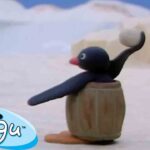 Pingu's Snowball Fight 🐧 | Pingu – Official Channel | Cartoons For Kids - Kids (0-4), Kingdom Kids Zone - Pingu - Official Channel