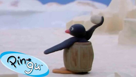Pingu's Snowball Fight 🐧 | Pingu – Official Channel | Cartoons For Kids - Kids (0-5), Kingdom Kids Zone - Pingu - Official Channel