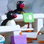 Pingu Goes Back to School 🐧 | Pingu – Official Channel | Cartoons For Kids - Kids (0-4), Kingdom Kids Zone - Pingu - Official Channel