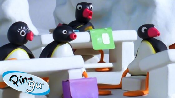 Pingu Goes Back to School 🐧 | Pingu – Official Channel | Cartoons For Kids - Kids (0-5), Kingdom Kids Zone - Pingu - Official Channel