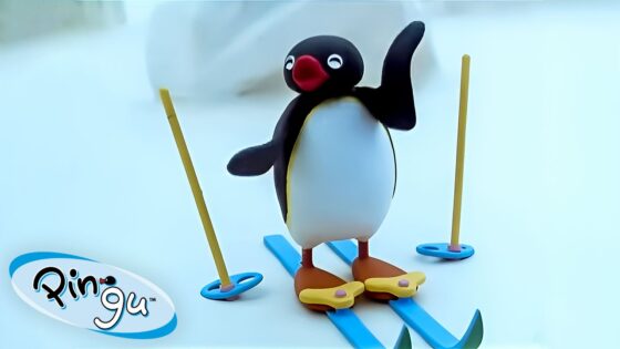 Pingu's Explorations 🐧 | Pingu – Official Channel | Cartoons For Kids - Kids (0-5), Kingdom Kids Zone - Pingu - Official Channel